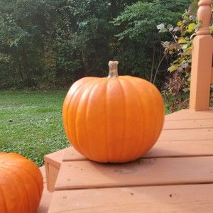 Meet your Posher, Posh